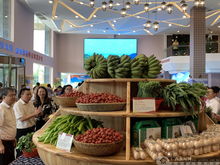 上林扶貧農(nóng)副產(chǎn)品展銷(xiāo)中心在南寧揭牌，助力鄉(xiāng)村振興新篇章